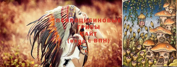 мяу мяу мука Куйбышев